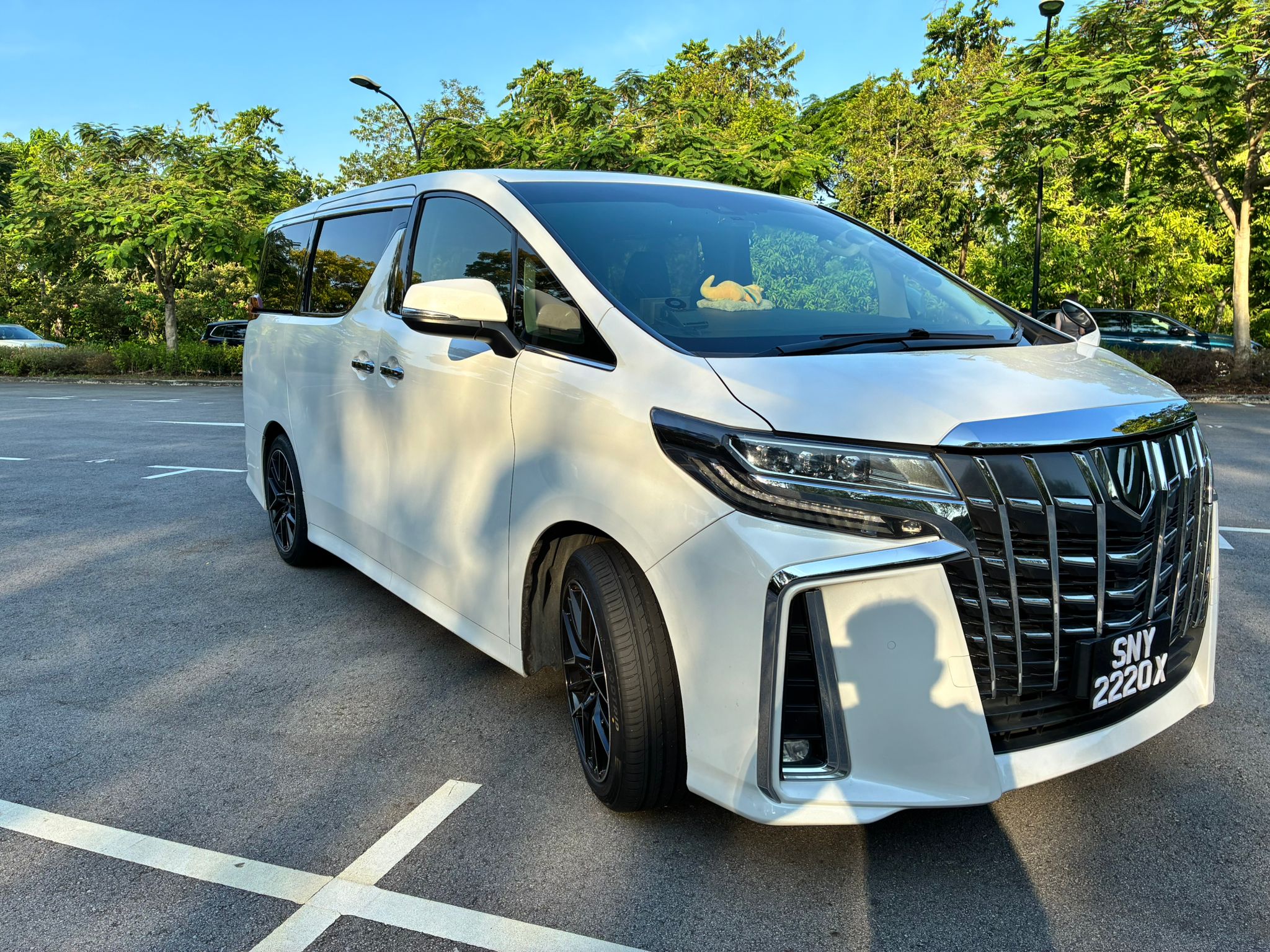 Toyota Alphard <span style="color: #A57029">At S.$4000++</span>